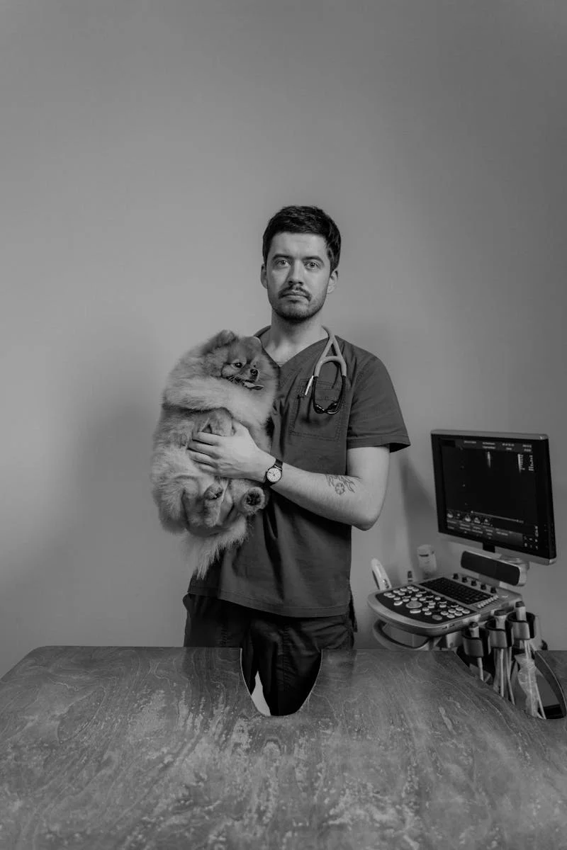 Clínica Veterinária São Lázaro - equipe