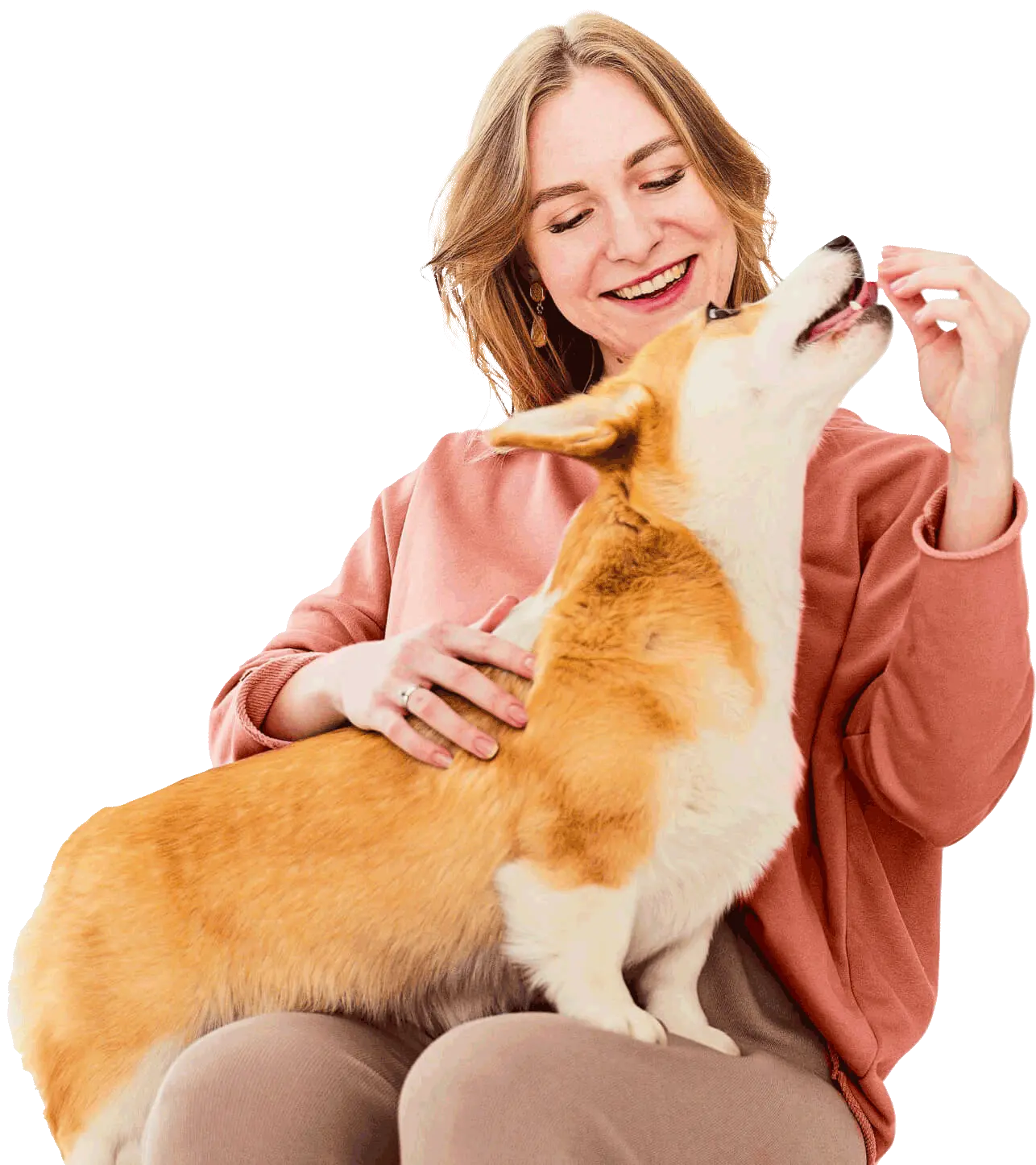 Clínica Veterinária São Lázaro